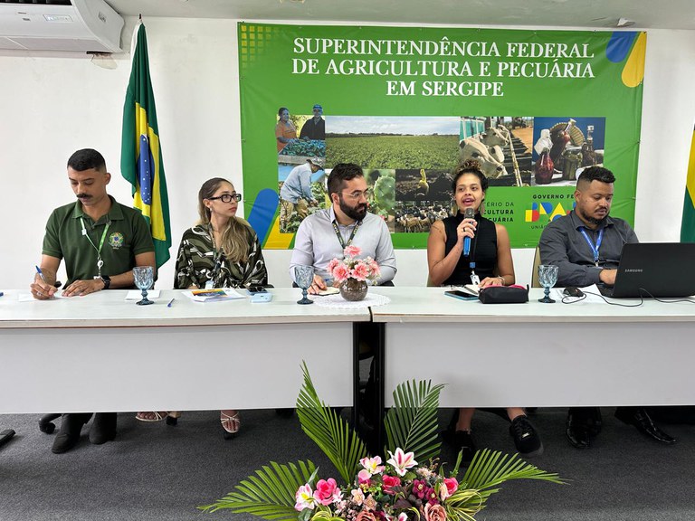 WhatsApp Image 2025-05-21 at 15.37.56.jpeg