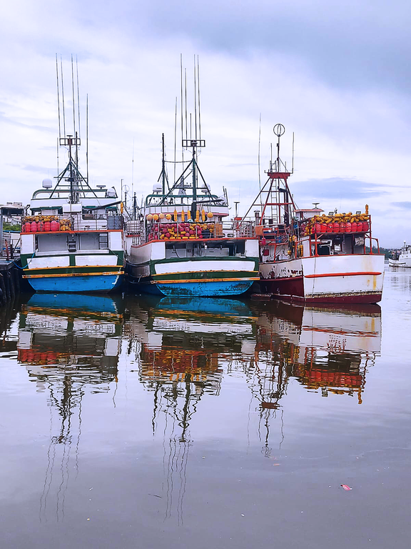 MPA realiza workshop sobre Subvenção ao Óleo Diesel no dia 25 de julho