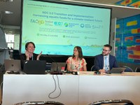 MPA reforça a centralidade da pesca e da aquicultura na agenda climática global