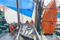 MPA trabalha para impulsionar o credenciamento de embarcações em Santa Catarina aptas ao comércio internacional