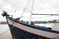 Nova portaria estabelece o cronograma de vistorias e capacitações do Propesc