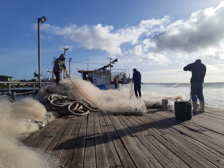 O Ministério da Pesca e Aquicultura alerta sobre envio de Mapa de Bordo para a tainha, anchova, sororoca e serra