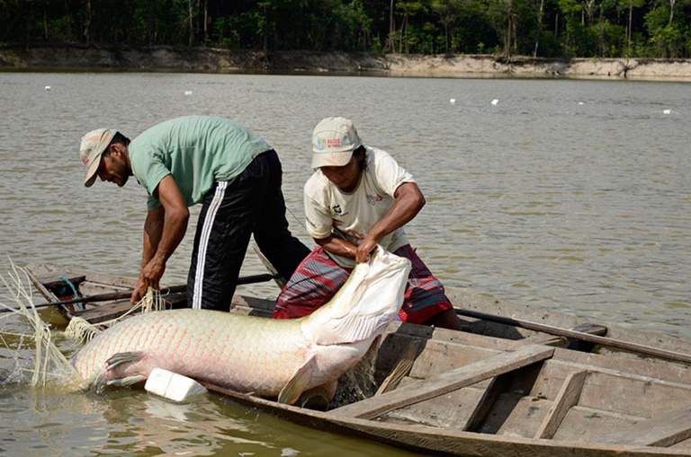pesca nota fiscal