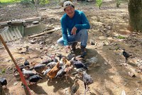 Onde antes havia garimpo, agora há alimento: governo implanta unidades para a soberania alimentar na Terra Yanomami