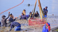 Pesca e aquicultura geram empregos em todo o país