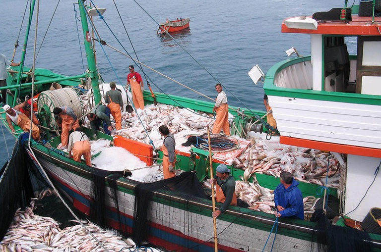 pesca taxa
