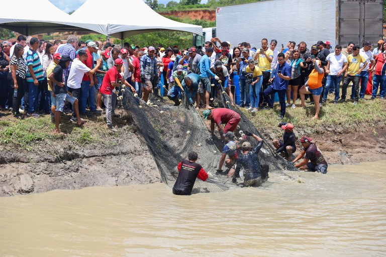 Despesca no assentamento