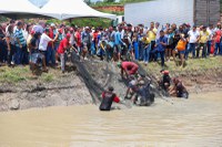 Piscicultura gera renda, produz alimento e conserva o meio ambiente