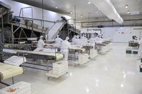 Plano Brasil Soberano: empresas pesqueiras afetadas por tarifas dos EUA podem acessar linhas de financiamento