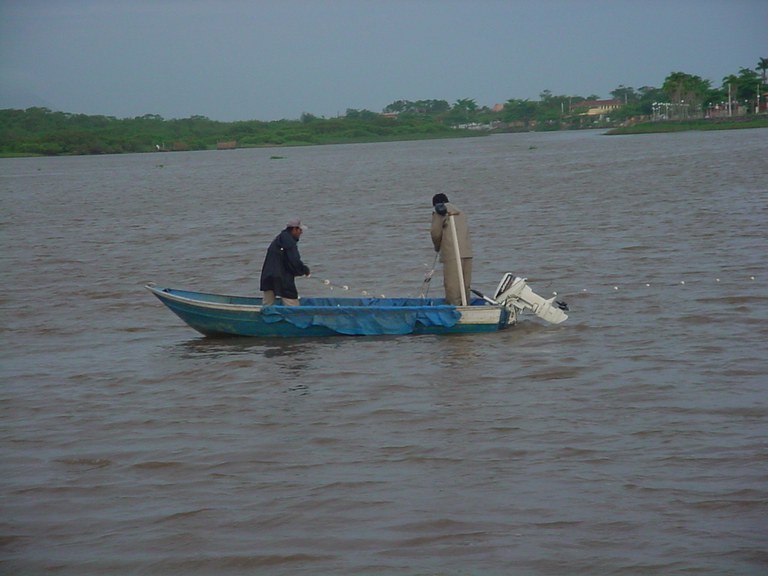 Portaria Interministerial prorroga prazo de uso de redes de emalhe para pesca do parati em Santa Catarina