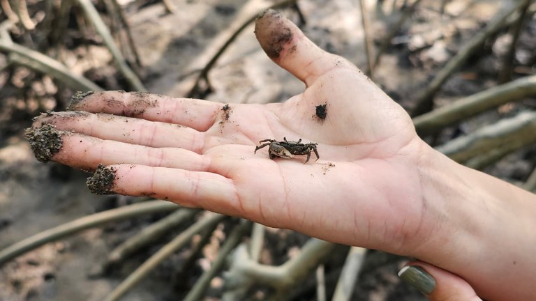 Projeto apoiado pelo MPA realizou curso de gestão pesqueira sustentável na Amazônia
