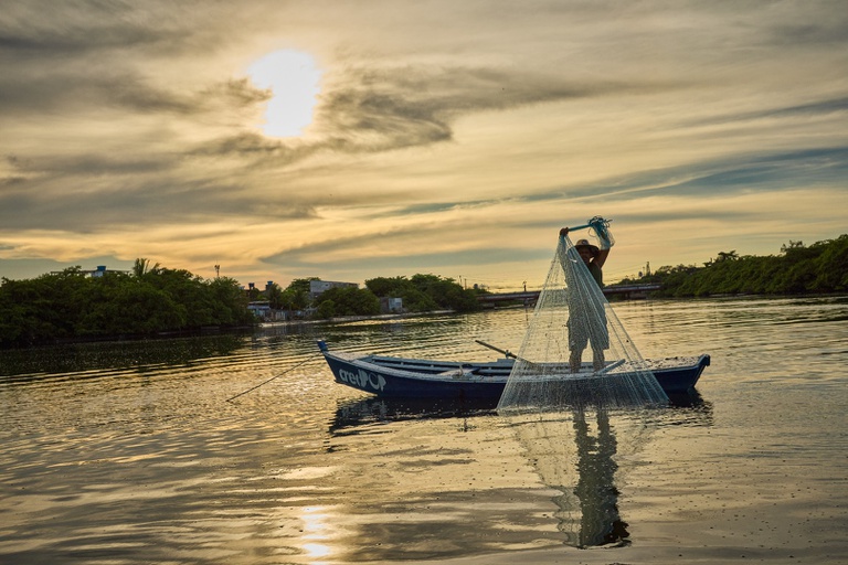 Pesca RGP