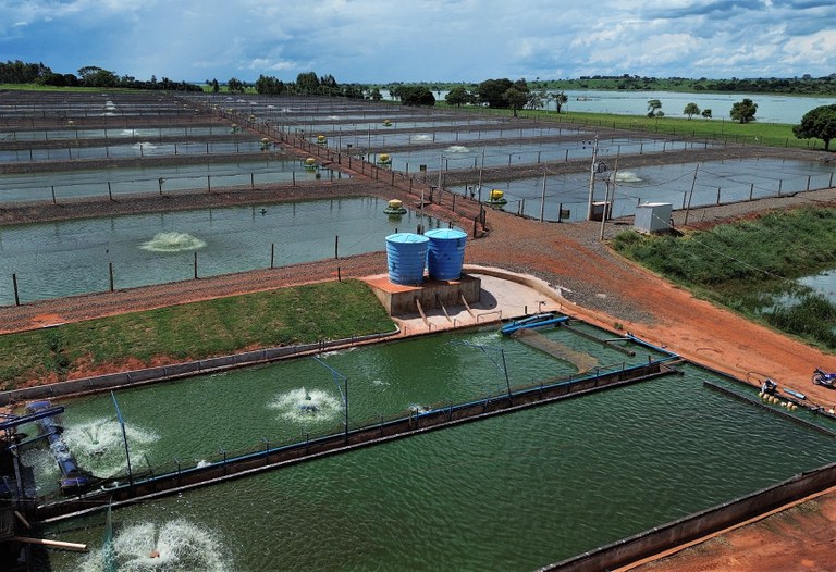 Secretaria Nacional de Aquicultura firma acordos com entidades estaduais e municipais para a regulação ambiental da atividade
