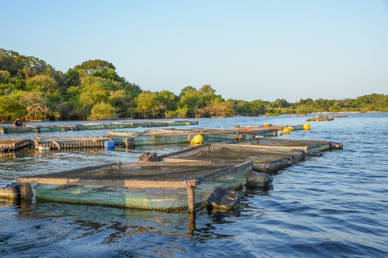 WhatsApp Image 2025-08-29 at 16.11.08.jpeg