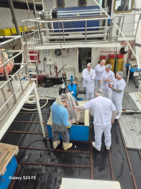 WhatsApp Image 2025-09-19 at 15.59.26.jpeg