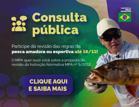 Consulta Pública
