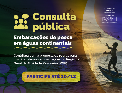 pescador jogando a rede, texto consulta pública