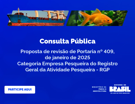 Consulta Pública à revisão da Portaria nº 409