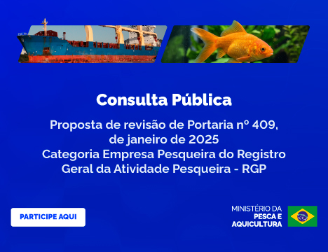 Consulta Pública_v1