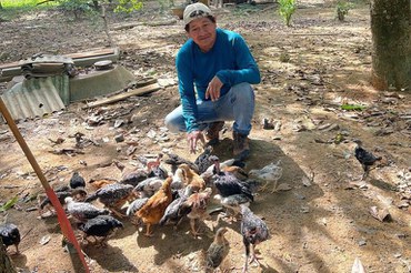 Onde antes havia garimpo, agora há alimento: governo implanta unidades para a soberania alimentar na Terra Yanomami