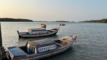 Seguro-defeso: prazo para envio do REAP termina no dia 31