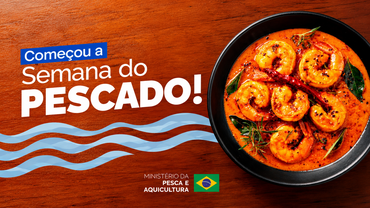 Conheça a letra da música da Semana do Pescado