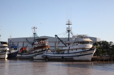 MPA habilita novas embarcações de pesca para exportação