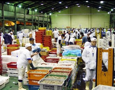 Semana do Pescado: Valores no atacado