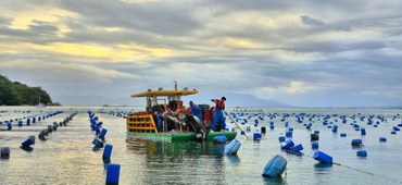 MPA abre inscrições para a 3ª edição do Prêmio Olhares da Aquicultura