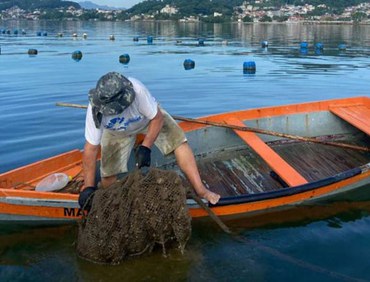 3º Prêmio Nacional de Fotografia: acompanhe o cronograma da premiação
