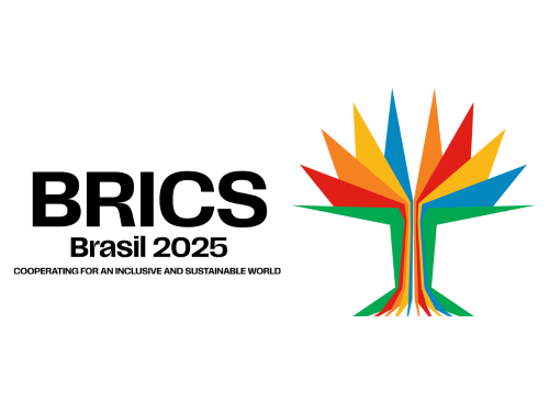 BRICS Site EN.png