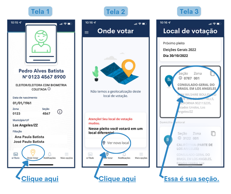 Quando o imigrante pode votar (Brasil e EUA) – Portal Canal Perguntas