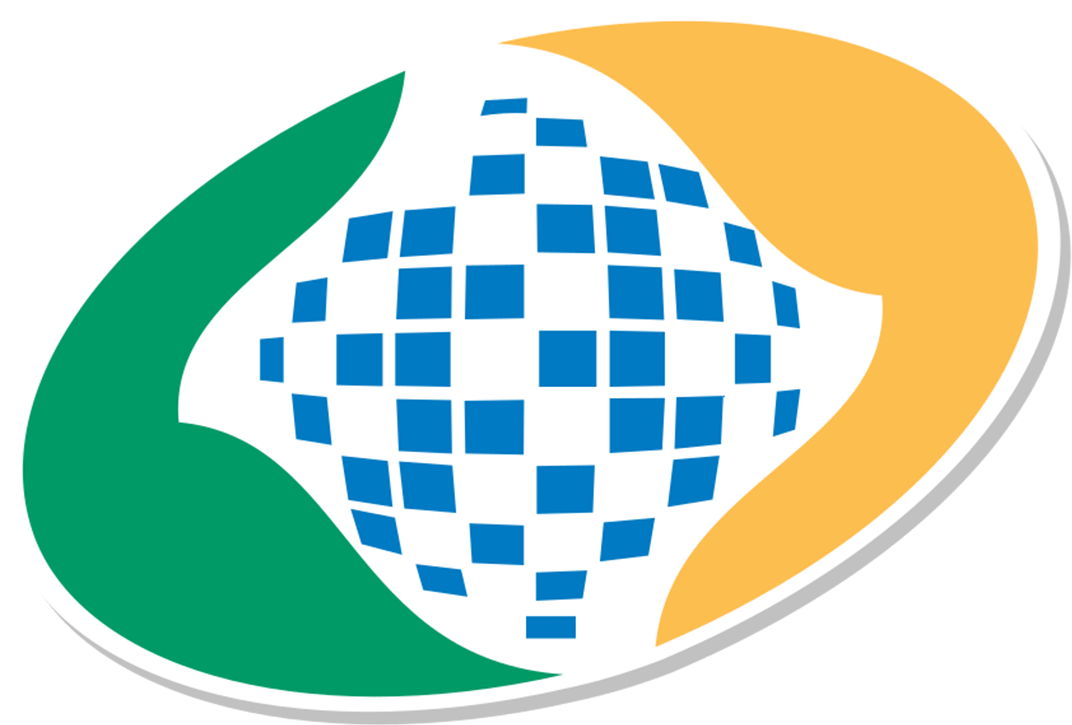 国立社会保障院（INSS）