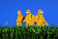 Exhibition False Symmetry, by Osvaldo Carvalho