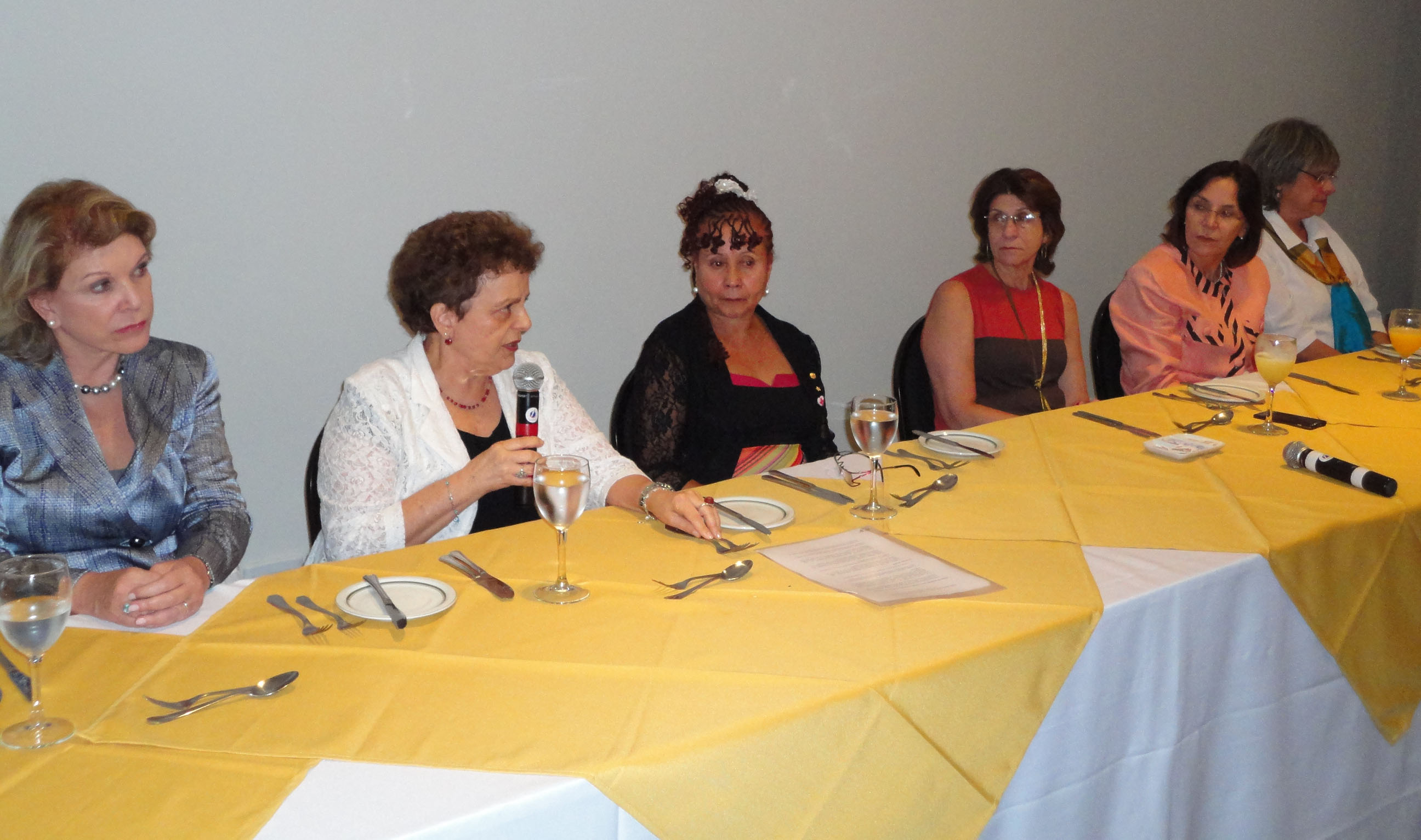 Ministra Eleonora Menicucci abriu diálogo com senadoras e deputadas federais
