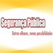 image_pagina_213pub_livro_seguranca