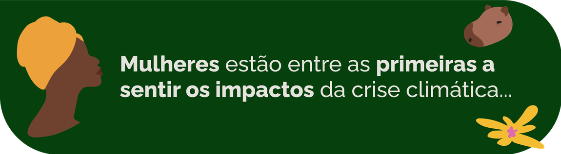 Banner: Impactos da crise climática na vida das mulheres