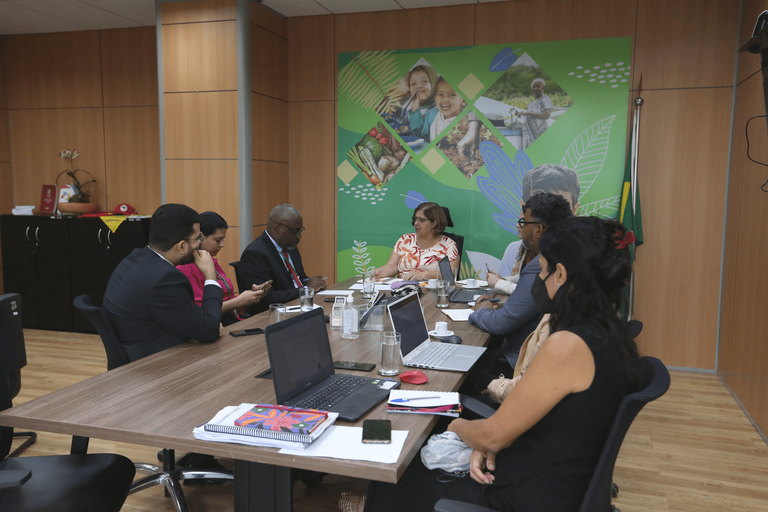 Ministra das Mulheres prepara reestruturação do Ligue 180