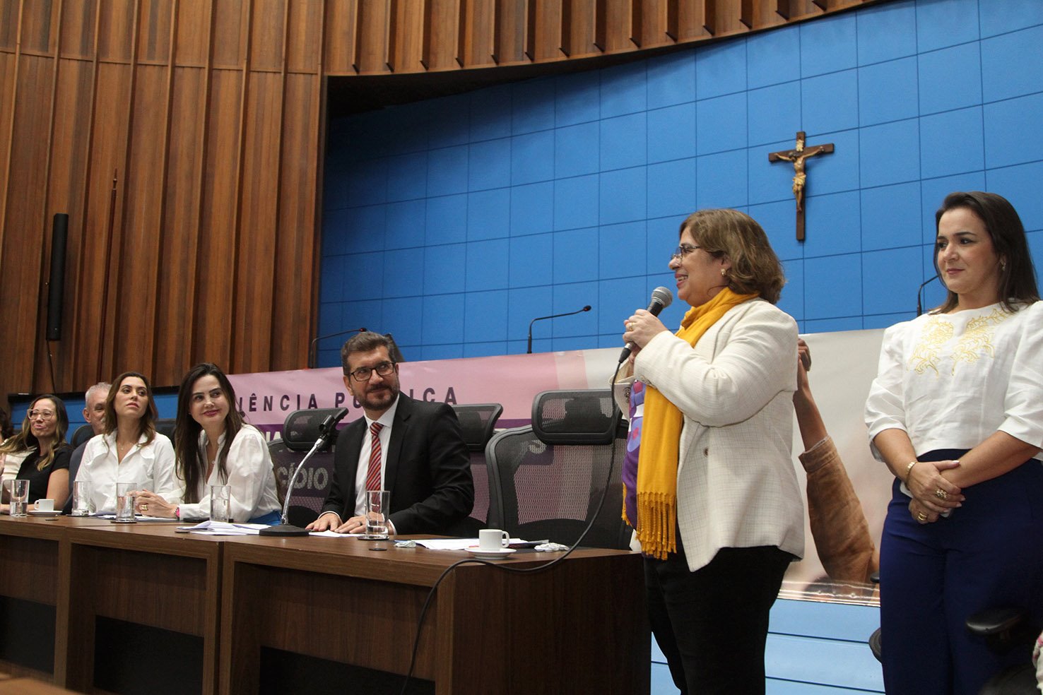 Audiência pública Violência contra as Mulheres e o Feminícidio em MS: todas e todos no combate à misoginia