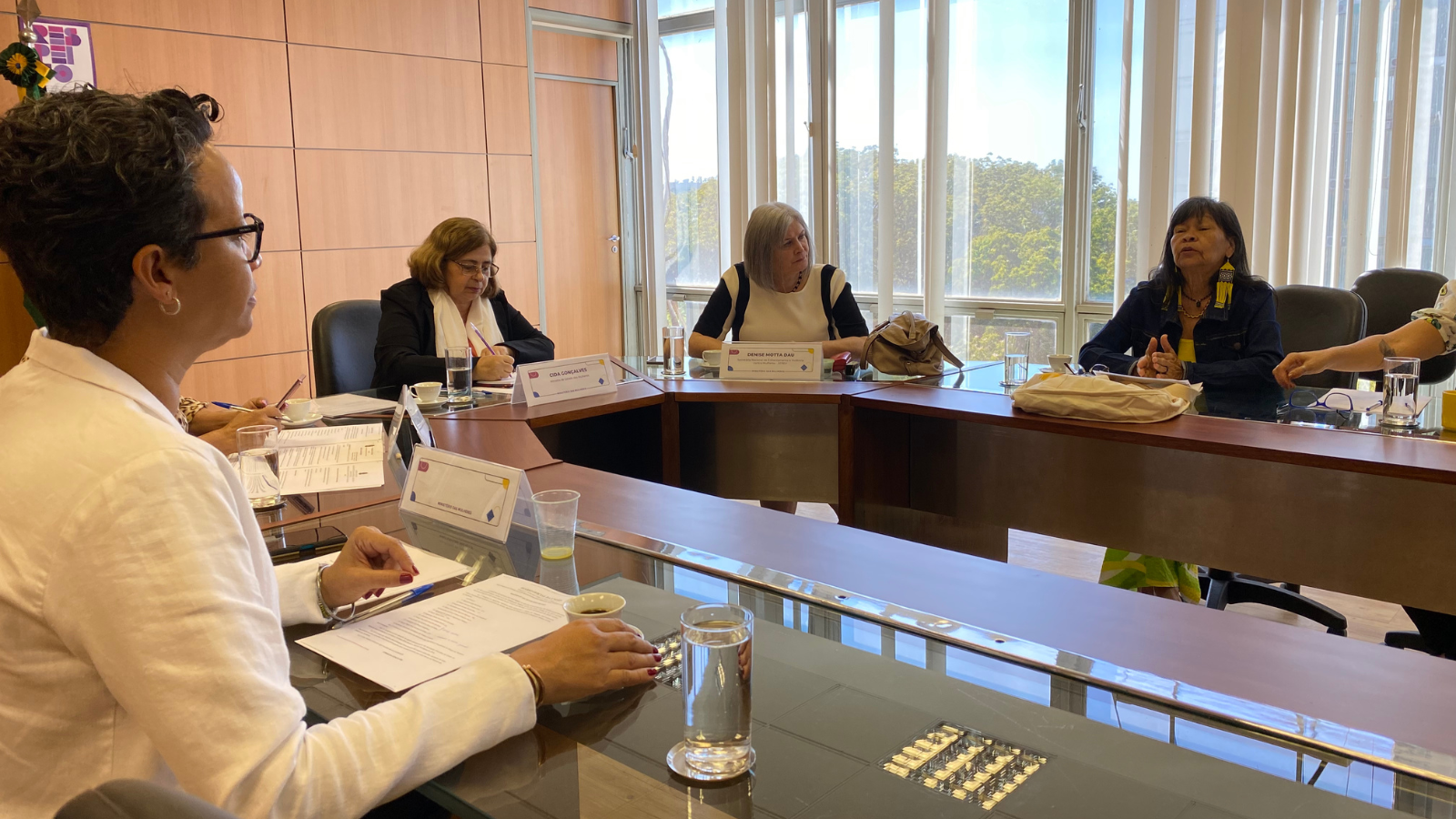 Grupo Interministerial com foco no enfrentamento à violência política contra as mulheres se reúne pela primeira vez
