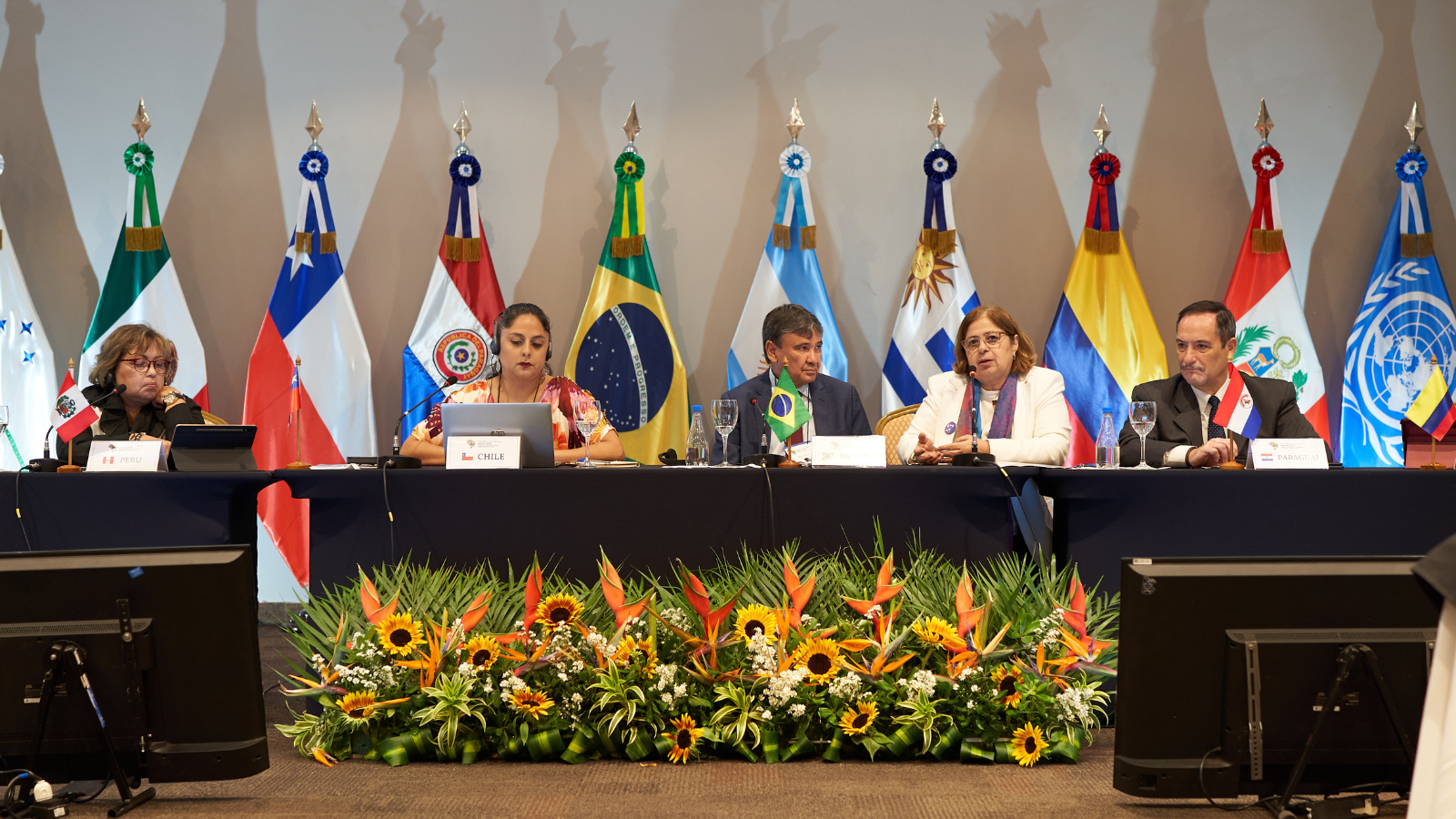 Seminário do Mercosul sobre Políticas e Sistemas de Cuidados
