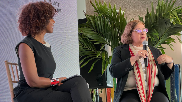 Cida Gonçalves no Pacto Global da ONU (1).png