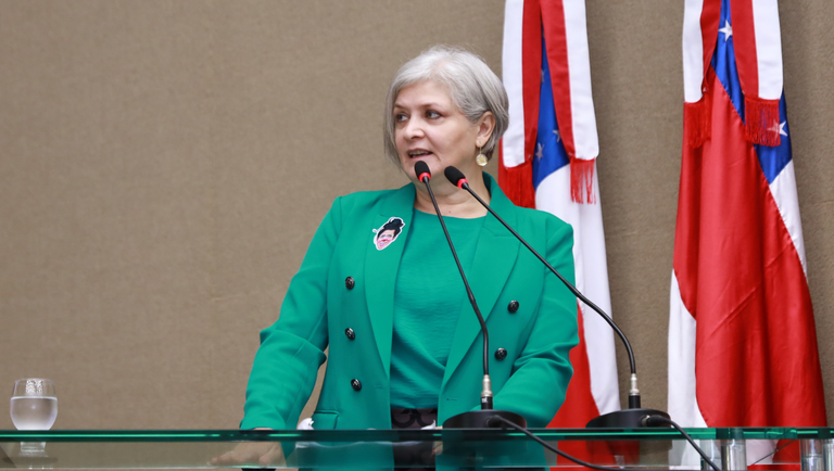 2024.06.11 - Sessão de tempo Caso Julieta Hernández 