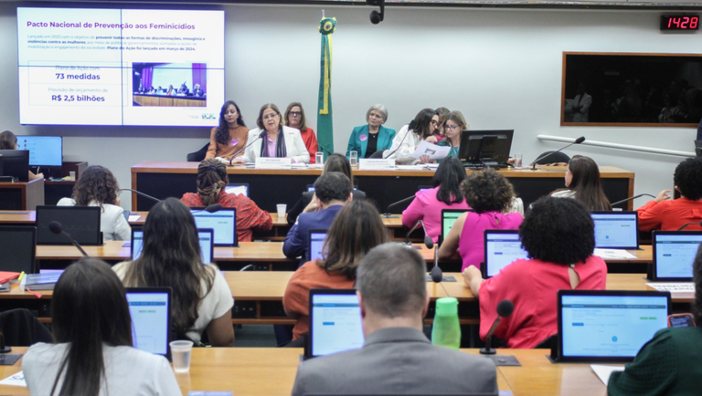 Ministra Cida Gonçalves na Câmara dos Deputados