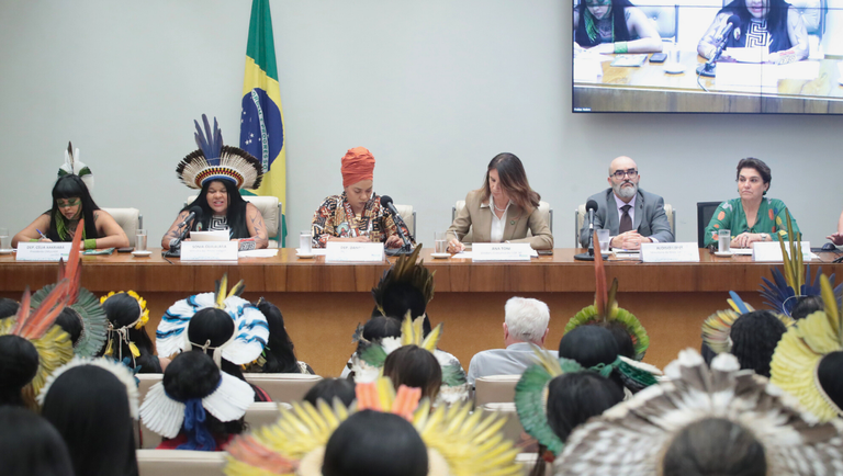 05/08/2025 - Comissão da Amazônia e dos Povos Originários e Tradicionais, Comissão de Meio Ambiente e Desenvolvimento Sustentável e Comissão de Defesa dos Direitos da Mulher