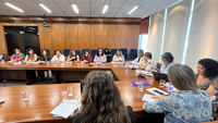 Ministra das Mulheres participa de reunião do Comitê Gestor do Pacto Nacional de Prevenção aos Feminicídios