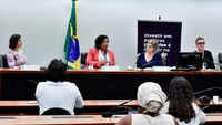 Secretária-executiva do Ministério das Mulheres debate orçamento em audiência pública na Câmara dos Deputados