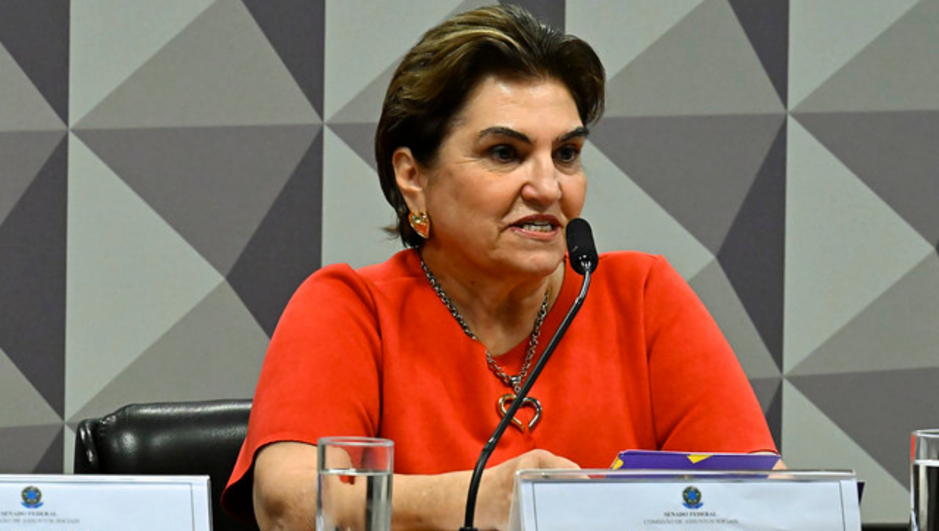 Audiência Pública no Senado