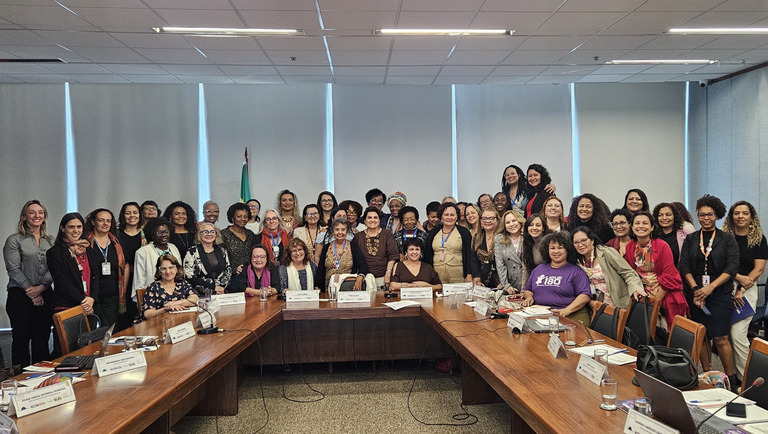 Reunião do Conselho Nacional dos Direitos da Mulher