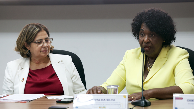 Lançamento do Relatório Anual Socioeconômico da Mulher - Raseam 2025